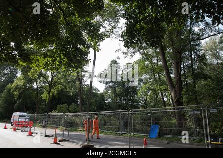 Denham, Royaume-Uni. 11 septembre 2020. Un site où l'abattage d'arbres est en cours pour la liaison ferroviaire à grande vitesse HS2. Des milliers d'arbres ont déjà été abattus pour le projet HS2 dans la vallée de Colne et l'abattage d'arbres a lieu actuellement à Denham Green, Denham et Harefield. Crédit : Mark Kerrison/Alamy Live News Banque D'Images