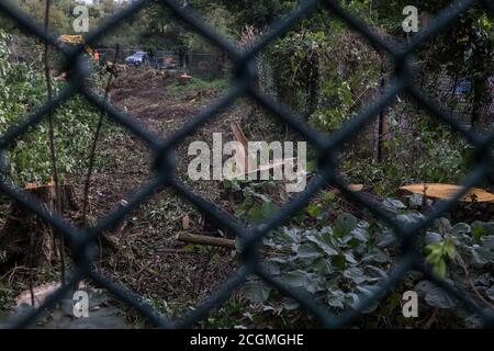 Denham, Royaume-Uni. 11 septembre 2020. Un site où l'abattage d'arbres est en cours pour la liaison ferroviaire à grande vitesse HS2. Des milliers d'arbres ont déjà été abattus pour le projet HS2 dans la vallée de Colne et l'abattage d'arbres a lieu actuellement à Denham Green, Denham et Harefield. Crédit : Mark Kerrison/Alamy Live News Banque D'Images