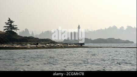 Le phare de Fisgard, le paysage environnant et l'océan sont embués par la brume et la fumée des feux de forêt aux États-Unis. Le phare de Fisgard est moi Banque D'Images