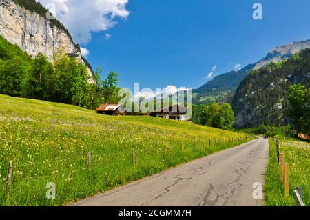 Route vers une belle vallée de la montagne verte à Lauterbrunnen, Suisse Banque D'Images