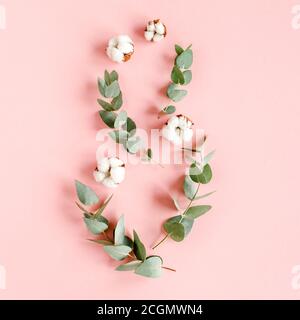 Motif abstrait fait de branches eucalyptus, feuilles et coton comme huit isolé sur fond rose. Flat Lay, vue de dessus. Concept floral Banque D'Images