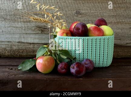 L'automne encore la vie. Pommes et prunes mûres, oreilles de seigle, de blé et d'avoine. Banque D'Images