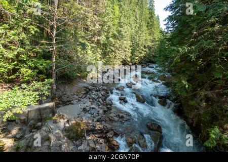 La rivière North Fork Nooksack dans le Mt. Forêt nationale de Baker-Snoqualmie Banque D'Images