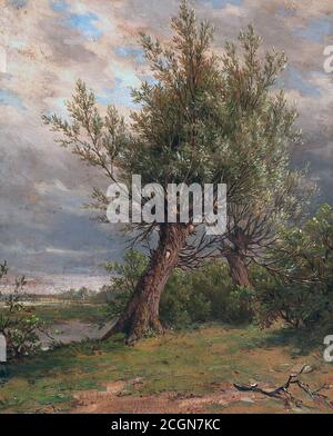 Plumot André - les Saules - Ecole belge - 19ème Siècle Banque D'Images