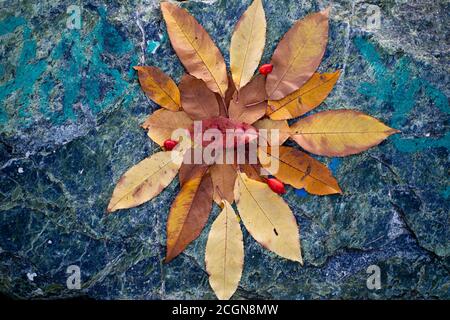 Feuilles d'automne disposées dans une composition sur une pierre. Banque D'Images