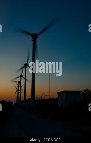 Gros plan sur les silhouettes des éoliennes du parc éolien de Bozcaada. Le tir à longue exposition capture les turbines lorsqu'elles tournent. Prise au coucher du soleil Banque D'Images