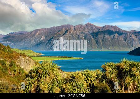 Vue sur la montagne et le lac Hawea. En été, il y a de l'herbe verte et des cieux bleus avec de beaux nuages au cou, Otago, Nouvelle-Zélande. Banque D'Images