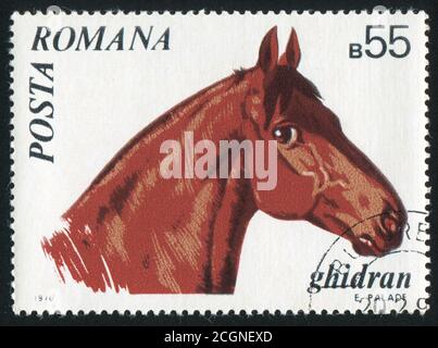 ROUMANIE - VERS 1970: Timbre imprimé par la Roumanie, show Setter, vers 1970. Banque D'Images