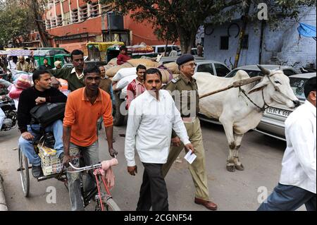 28.02.2011, Delhi, Inde, Asie - Hustle et l'agitation avec des foules de personnes pendant l'heure de pointe dans une rue animée près de la gare de New Delhi. Banque D'Images