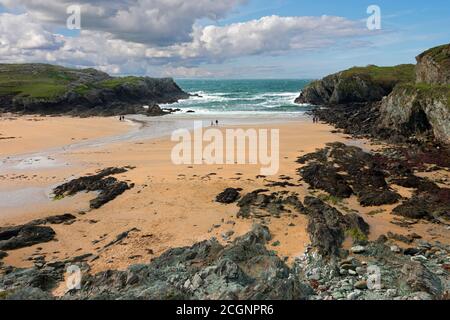 Porth Dafarc est une baie de l'île Sainte, au nord du pays de Galles. La géologie est composée de roches précambriennes. La plage montre des distances sociales. Banque D'Images