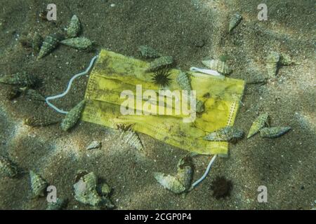 Gros plan, un masque médical usagé jeté repose sur un sol sablonneux, hermite crabes marcher dessus, Becici, région de Budva, Monténégro Banque D'Images