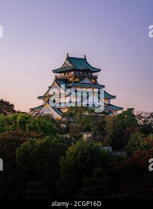 Château d'Osaka, Osaka, Japon Banque D'Images