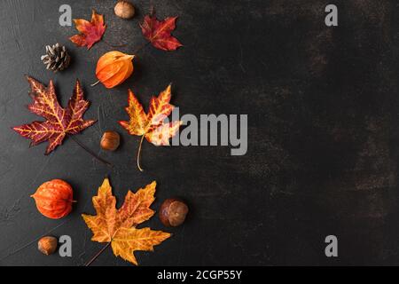 Composition d'automne ou de Thanksgiving faite de feuilles d'automne, de fleurs et de noix sur fond noir. Flat lay, vue de dessus avec espace de copie Banque D'Images