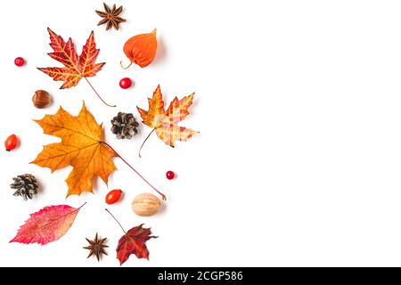 Composition automnale composée de feuilles d'automne, de fleurs, de noix, de baies isolées sur fond blanc. Flat lay, vue de dessus avec espace de copie Banque D'Images