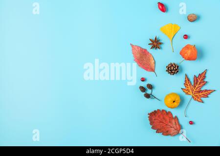 Composition automnale composée de feuilles séchées, de fleurs, de noix, de baies sur fond bleu. Flat lay, vue de dessus avec espace de copie Banque D'Images