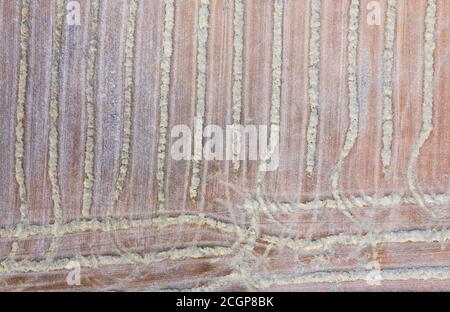 Vue aérienne du paysage agricole à Villatomil, Médina de Pomar dans la région de Las Merindades, Burgos, Castilla y Leon, Espagne, Europe Banque D'Images