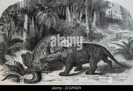 Iguanodon versus Mégalosaurus. Gravure en bois par Eduard Riou Illustration du monde avant le Deluge de Louis Figuier, 1863 Banque D'Images