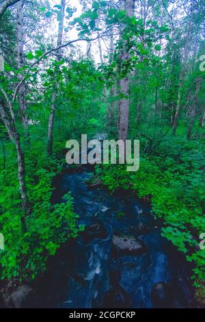 rivière qui coule rapidement dans la nature sauvage en Finlande pendant l'été Banque D'Images