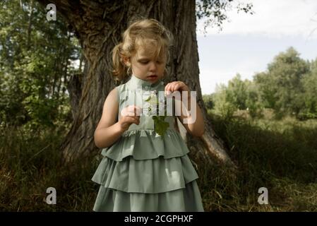 La petite fille regarde les baies Banque D'Images