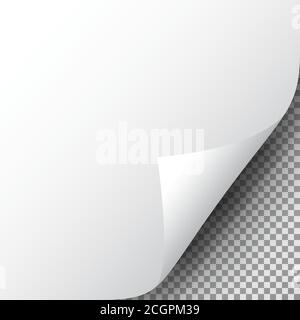 Coin de la page sur une feuille de papier transparente. Coin de papier gondolé réaliste avec ombre. Tournez le papier. Conception pour le Web, l'impression, la bannière, la publicité Illustration de Vecteur