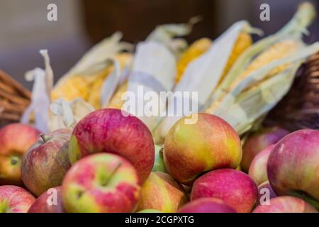 pommes mûres rouges et épis de maïs dans un panier à le marché de l'agriculteur Banque D'Images
