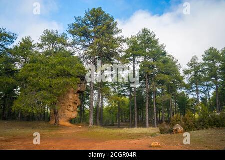 Le visage de l'homme. Ciudad Encantada, Réserve naturelle de Serrania de Cuenca, province de Cuenca, Castilla la Mancha, Espagne. Banque D'Images