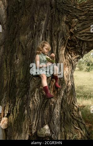 Petite fille assise sur un très grand arbre Banque D'Images