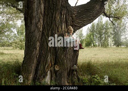 Petite fille assise sur un très grand arbre Banque D'Images