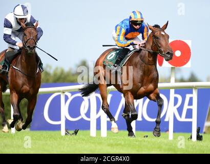 Lundi monté Seamus Heffernan (à droite) sur le chemin de gagner les enjeux irlandais Ballylinch Stud EBF Ingabelle le premier jour du week-end des champions irlandais de Longines à l'hippodrome de Leopardstown, Dublin. Banque D'Images