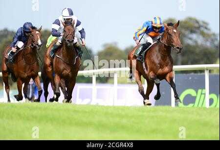 Lundi monté Seamus Heffernan (à droite) sur le chemin de gagner les enjeux irlandais Ballylinch Stud EBF Ingabelle le premier jour du week-end des champions irlandais de Longines à l'hippodrome de Leopardstown, Dublin. Banque D'Images