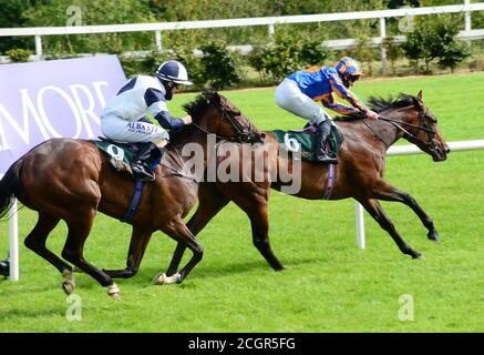 Lundi monté Seamus Heffernan (à droite) sur le chemin de gagner les enjeux irlandais Ballylinch Stud EBF Ingabelle le premier jour du week-end des champions irlandais de Longines à l'hippodrome de Leopardstown, Dublin. Banque D'Images