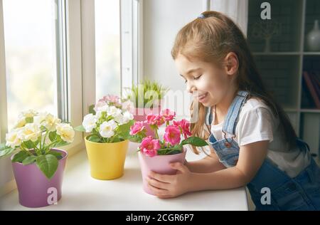 une petite fille mignonne met des fleurs dans des pots sur la fenêtre. Banque D'Images