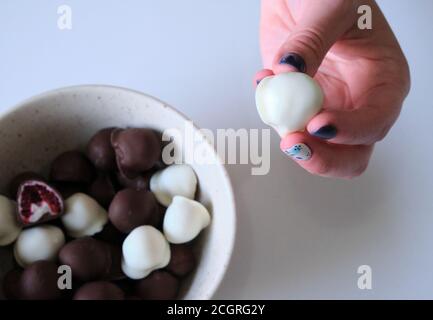 la main de femme choisit et attrapant rouge frais et brillant frais framboises enrobées de chocolat noir et blanc fait maison Banque D'Images