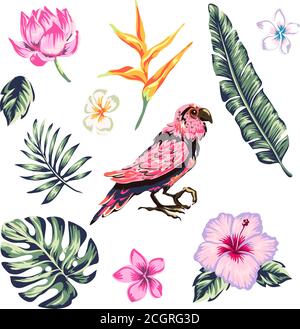 composition tropicale à partir de fleurs feuilles de polma hibiscus et éléments pour votre conception sur fond blanc. modèle pour les histoires et les illustrations Illustration de Vecteur