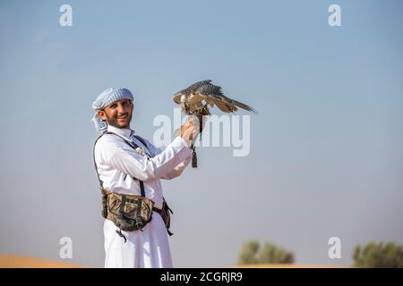 Dubaï, Émirats arabes unis, Novembre 19th, 2016 : Un falconer en tenue traditionnelle, la formation d'un Faucon pèlerin (Falco peregrinus) Banque D'Images