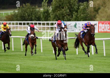 Cadillac et Shane Foley remportent les enjeux pour mineurs des champions de KPMG le premier jour du week-end des champions irlandais de Longines à l'hippodrome de Leopardstown, à Dublin. Banque D'Images