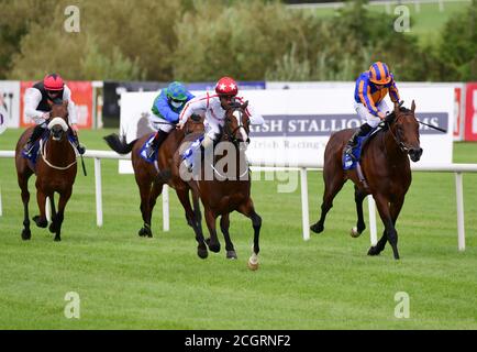 Cadillac et Shane Foley remportent les enjeux pour mineurs des champions de KPMG le premier jour du week-end des champions irlandais de Longines à l'hippodrome de Leopardstown, à Dublin. Banque D'Images