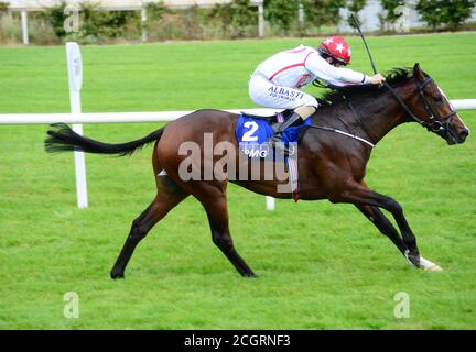 Cadillac et Shane Foley remportent les enjeux pour mineurs des champions de KPMG le premier jour du week-end des champions irlandais de Longines à l'hippodrome de Leopardstown, à Dublin. Banque D'Images