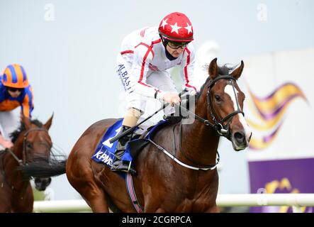 Cadillac et Shane Foley remportent les enjeux pour mineurs des champions de KPMG le premier jour du week-end des champions irlandais de Longines à l'hippodrome de Leopardstown, à Dublin. Banque D'Images