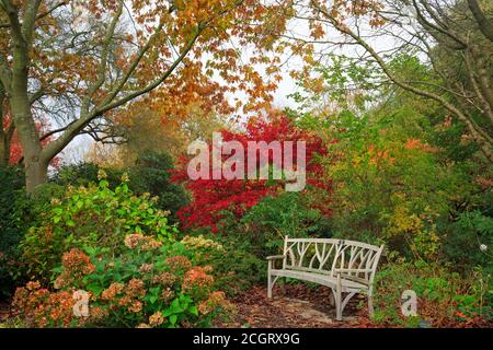 Parc boisé britannique de couleur automnale avec banc en bois pour se reposer et profiter de la vue. Banque D'Images