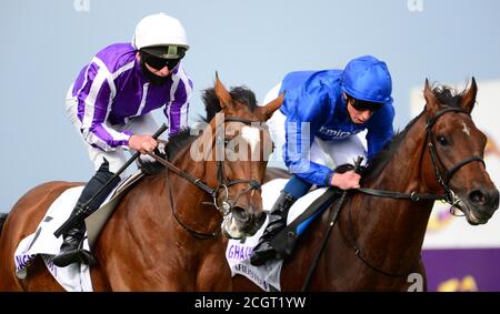 La magie de Seamus Heffernan (à gauche) bat Ghaiyyath (à droite) pour gagner les enjeux du champion irlandais du groupe 1 le premier jour du week-end des champions irlandais des Longines au champ de courses de Leopardstown, à Dublin. Banque D'Images