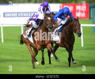 La magie de Seamus Heffernan (à gauche) bat Ghaiyyath (à droite) pour gagner les enjeux du champion irlandais du groupe 1 le premier jour du week-end des champions irlandais des Longines au champ de courses de Leopardstown, à Dublin. Banque D'Images