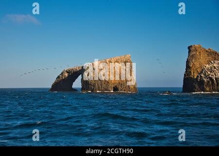 Arche de l'île d'Anacapa au parc national et national des îles Anglo-Normandes Sanctuaire marin Banque D'Images