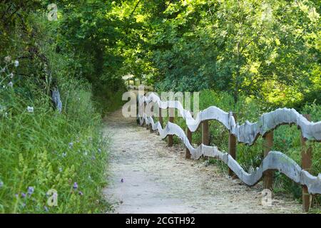 Chemin étonnant dans la campagne. Sentier de randonnée entouré de végétation et de grands arbres Banque D'Images