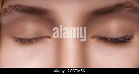 Procédure d'extension de cils. Woman Eye de longs cils. Close up, selective focus. Banque D'Images