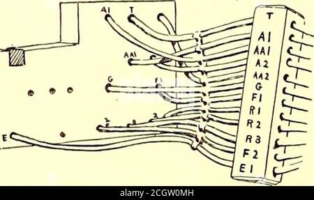 . Journal de chemin de fer de la rue . -CORDE MODELWIRING.. FIGURE 21 —CONNEXIONS OFMOTOR DE MODÈLE CORDE. Ordinarj deux età qui employait une demi-pour les incendies. Le ho.se est ensuite divisé en face des dérivations, elles sont sorties et l'ouverture fermée. L'ensemble est ensuite traité avec de la peinture P. & B. Par cet arrangement deux hommes peuvent faire huit câbles par jour tout terminé upready pour placer dans la voiture. Le fil de masse est tappedin à l'extérieur du flexible. Lorsque les barres de commutation sont en cours de configuration, elles sont maintenues en place par un anneau à trois sections illustré sur la Fig. 22. Les trois sections sont en fer forgé avec des pattes à chaque fr Banque D'Images