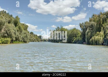 Danube réserve de biosphère Ankudinovo rivière paysage d'été près de Vilkove, Ukraine. Proche de la mer Noire et du delta du Danube. Banque D'Images