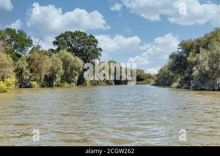 Danube réserve de biosphère Ankudinovo rivière paysage d'été près de Vilkove, Ukraine. Proche de la mer Noire et du delta du Danube. Banque D'Images