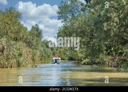 Danube réserve de biosphère Ankudinovo rivière paysage d'été près de Vilkove, Ukraine. Proche de la mer Noire et du delta du Danube. Banque D'Images