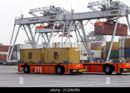 Véhicules automatisés qui déplacent des conteneurs d'expédition vers et depuis des grues portiques dans le port de Rotterdam, aux pays-Bas, le 6 septembre 2013. Banque D'Images